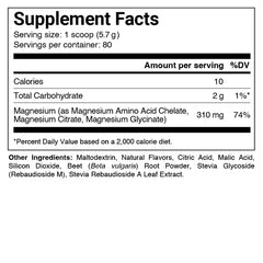PILLAR Performance Triple Magnesium Professional Recovery Powder - 80 serving - BERRY
