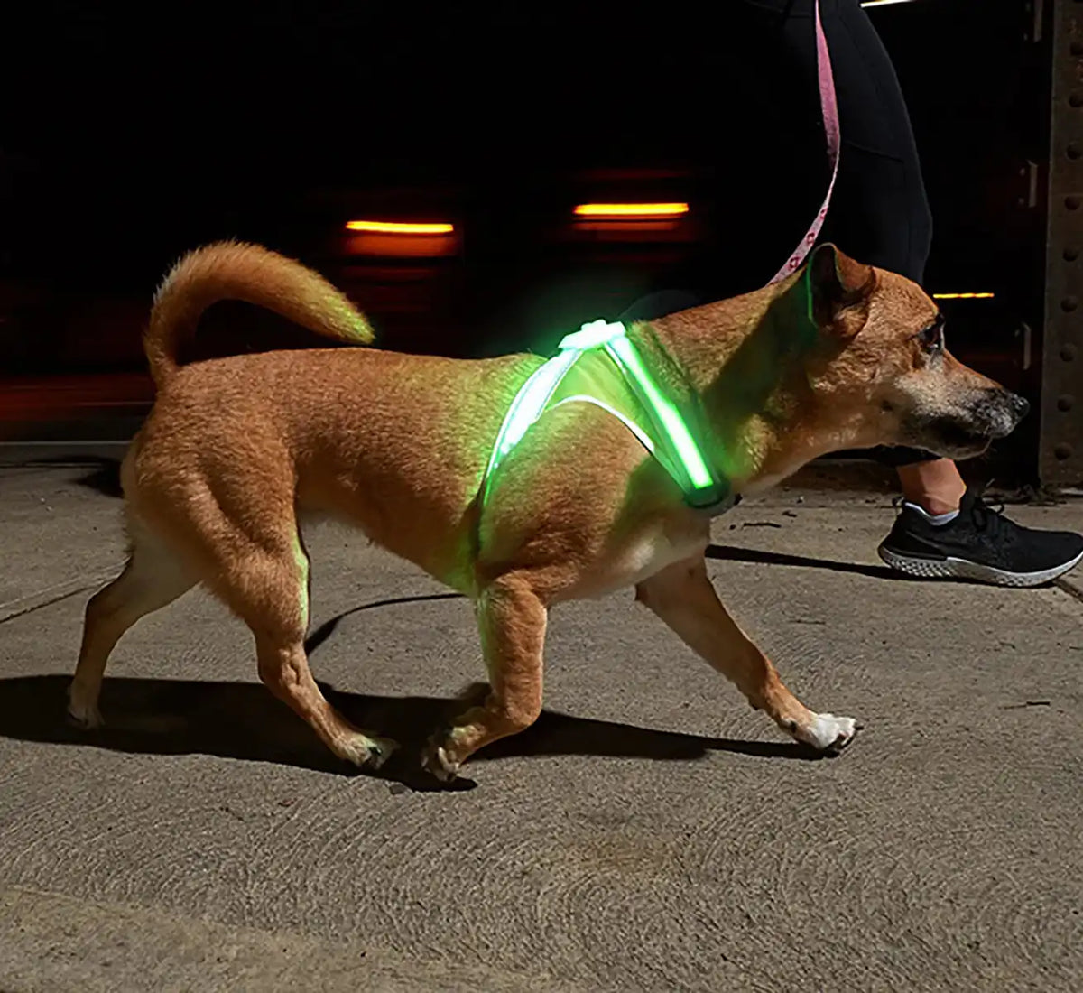 Noxgear Lighthound Harness - YELLOW